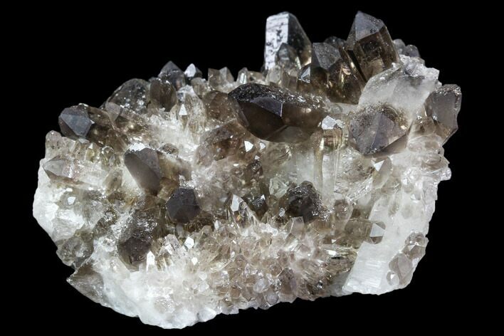 Dark Smoky Quartz Crystal Cluster - Brazil #104075
